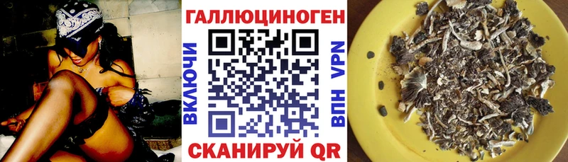 Псилоцибиновые грибы Psilocybe  Бугульма 
